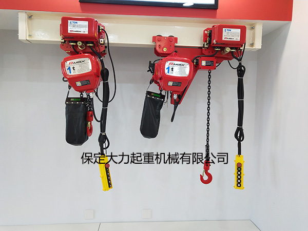 河北大力環鏈電動葫蘆圖